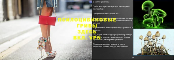 Альфа ПВП Балахна
