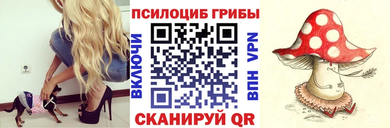 Псилоцибиновые грибы GOLDEN TEACHER  Ленск 
